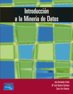 Introducci&oacute;n a la Miner&iacute;a de Datos: Conceptos, Procesos y T&eacute;cnicas