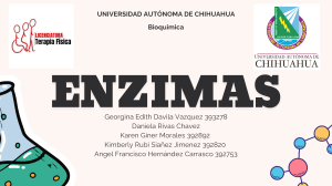 Enzimas: Naturaleza, Clasificaci&oacute;n, Inhibici&oacute;n y Enfermedades