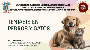 Teniasis en Perros y Gatos: Etiolog&iacute;a, Diagn&oacute;stico y Prevenci&oacute;n Veterinaria