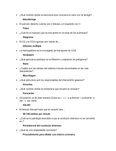 Preguntas y Respuestas: Sistema Respiratorio y Cardiovascular