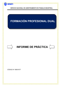 Informe de Pr&aacute;ctica Producci&oacute;n Industrial
