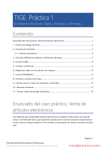 TIGE. Pr&aacute;ctica 1: Excel - Datos, F&oacute;rmulas y Formato para Gesti&oacute;n Empresarial