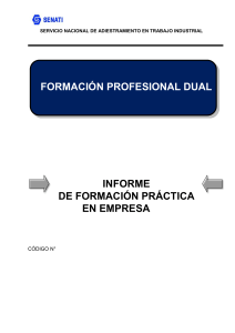 Informe Formación Práctica - Administración Negocios Internacionales