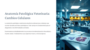 Anatomia-Patologica-Veterinaria-Cambios-Celulares, necrosis y cambios cadavericos unidad 2 