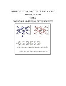 Matrices y Determinantes: Investigaci&oacute;n de &Aacute;lgebra Lineal