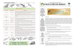 Especies de Puerto Rico: Reptiles y Animales en Peligro