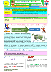 Tejidos Vegetales: Hoja de Trabajo para Ciencias de Secundaria