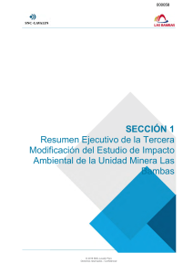 Resumen Ejecutivo MEIA Las Bambas: Impacto Ambiental Minero