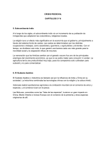 Crisis Medieval: Subcontinente Indio y Sudeste Asi&aacute;tico (Cap&iacute;tulos 5 y 6)