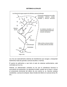 Sistemas Aluviales: Dep&oacute;sitos y Procesos Sedimentarios