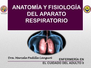 Anatomía y Fisiología del Aparato Respiratorio | Enfermería Adulto II