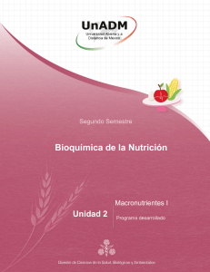 Bioquímica de la Nutrición: Macronutrientes I