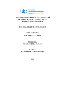 Uniones Celulares: Tarea de Biolog&iacute;a Celular y Molecular