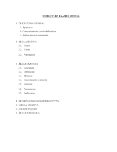 Estructura Examen Mental: Guía Completa