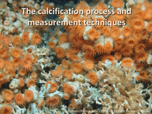 Calcification Process & Measurement Techniques