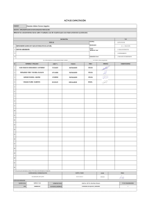 Acta Capacitaci&oacute;n: Plan Rescate Altura y Uso Andamios