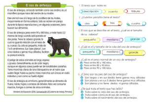 El Oso de Anteojos: Descripci&oacute;n y Comprensi&oacute;n Lectora para Primaria