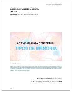 MAPA CONCEPTUAL TIPOS DE MEMORIA