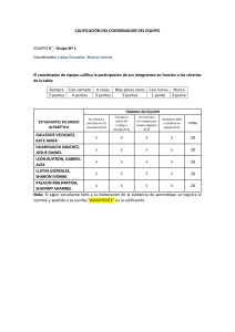 Calificaci&oacute;n del coordinador del equipo