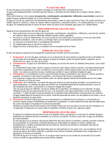 El Ciclo del Agua: Etapas, Características e Importancia Vital