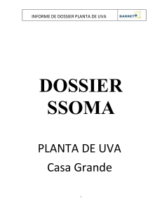 Informe SSOMA Planta de Uva: Seguridad y Salud en Construcci&oacute;n