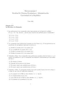 Microeconom&iacute;a I: Pr&aacute;ctico N&deg;1 - La Elecci&oacute;n y la Demanda (Curso 2025)