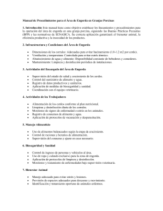 Manual de Procedimientos: Engorda Porcina, BPP y SENASICA