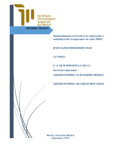 Informe T&eacute;cnico: Mantenimiento Correctivo HRSG y Soldadura Industrial