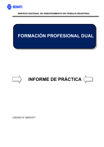 Informe de Práctica SENATI: Formación Profesional Dual