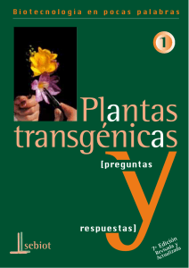 Biotecnolog&iacute;a en pocas palabras: Plantas transg&eacute;nicas y preguntas