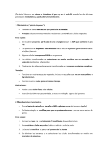 Introducci&oacute;n del Gen Cry en Ma&iacute;z Bt: Biobal&iacute;stica y Agrobacterium