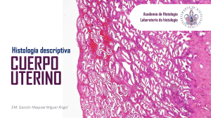 Histolog&iacute;a descriptiva del cuerpo uterino