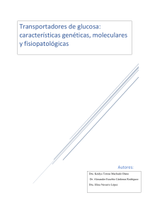 Transportadores de Glucosa: Gen&eacute;tica, Mol&eacute;culas y Fisiopatolog&iacute;a