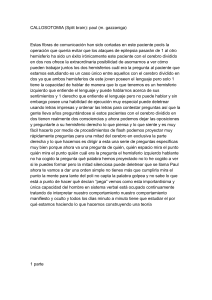 Callosotomía (Split Brain): El Caso de Paul y la Conciencia Dual