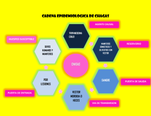 Chagas: Cadena Epidemiol&oacute;gica, Cuadro Cl&iacute;nico y Diagn&oacute;stico