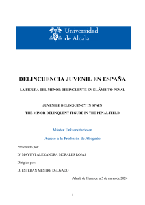 Delincuencia Juvenil en España: Análisis Penal y Criminológico