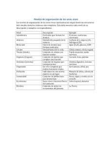 Niveles de Organización Biológica: Descripción y Ejemplos Completos