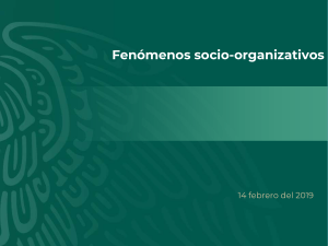 Fen&oacute;menos Socio-Organizativos: Definici&oacute;n, Clasificaci&oacute;n y Ejemplos