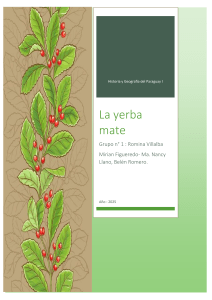 Historia y geografía de la yerba mate en Paraguay