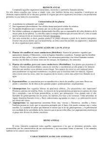 Reino Plantae y Animal: Caracter&iacute;sticas y Clasificaci&oacute;n Biol&oacute;gica