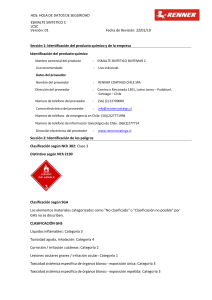HDS Esmalte Sint&eacute;tico C: Seguridad, Peligros y Manipulaci&oacute;n