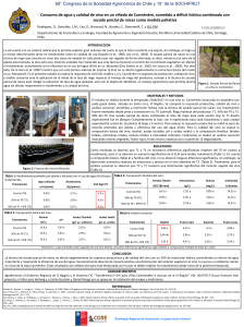 Consumo de Agua y Calidad de Vino en Carm&eacute;n&egrave;re: D&eacute;ficit H&iacute;drico y SPR