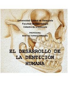 El Desarrollo de la Dentici&oacute;n Humana: Manual de Ortodoncia UCV