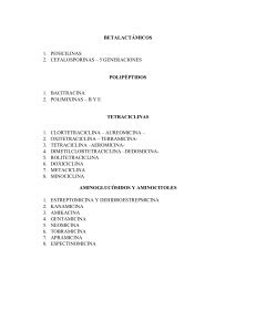 Clasificaci&oacute;n de Antibi&oacute;ticos: Grupos y Ejemplos Detallados