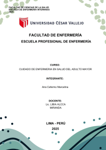 Plan de Cuidados de Enfermer&iacute;a: Adulto Mayor - UCV 2025