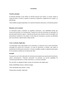 Serotonina: Funci&oacute;n, Atenci&oacute;n y &Aacute;reas Cerebrales Implicadas