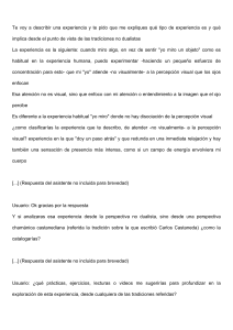 Experiencia No Dualista y Perspectiva Cham&aacute;nica
