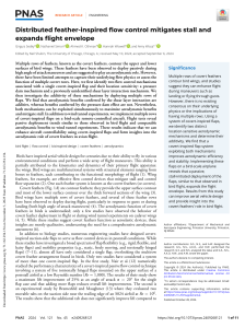 Feather-Inspired Flow Control: Stall Mitigation & Flight Envelope