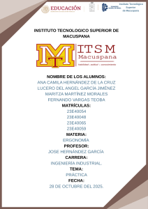 Informe de Práctica: Factores de Riesgo Psicosocial NOM-035-STPS-2018