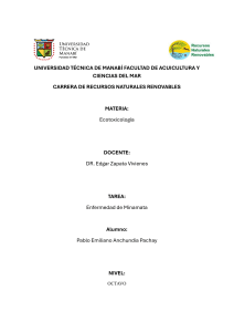 Enfermedad de Minamata: Causas, Consecuencias y Prevenci&oacute;n Global
